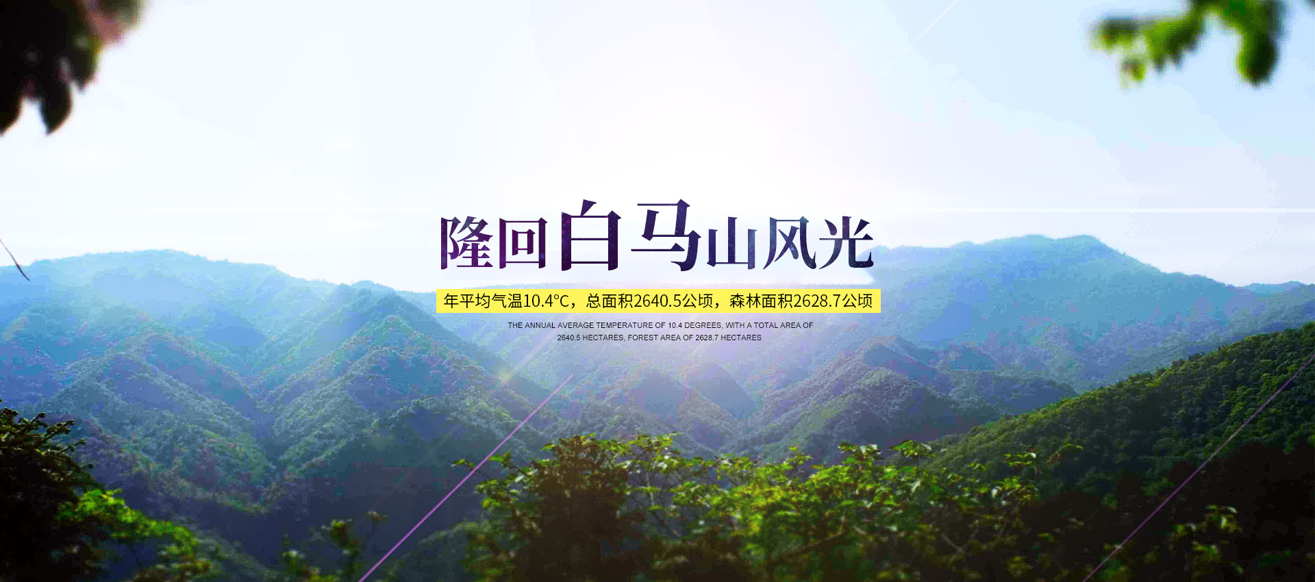 隆回縣龍瑤生態(tài)旅游開發(fā)有限公司_龍瑤生態(tài)旅游|隆回縣生態(tài)旅游|隆回縣森林公園